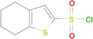 4,5,6,7-tetrahydro-1-benzothiophene-2-sulfonyl chloride