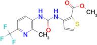 methyl 3-[({[2-methyl-6-(trifluoromethyl)pyridin-3-yl]amino}carbonyl)amino]thiophene-2-carboxylate