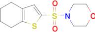 4-(4,5,6,7-tetrahydro-1-benzothien-2-ylsulfonyl)morpholine