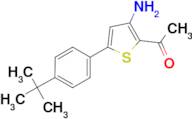 1-{3-amino-5-[4-(tert-butyl)phenyl]-2-thienyl}ethan-1-one