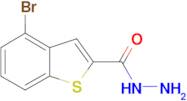 4-bromo-1-benzothiophene-2-carbohydrazide