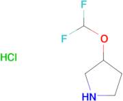 3-(difluoromethoxy)pyrrolidine hydrochloride