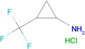 2-(trifluoromethyl)cyclopropan-1-amine hydrochloride