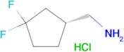 [(1R)-3,3-difluorocyclopentyl]methanamine hydrochloride