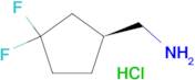 [(1S)-3,3-difluorocyclopentyl]methanamine hydrochloride