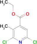 ethyl 2,6-dichloro-3-methylpyridine-4-carboxylate