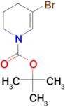 tert-butyl 5-bromo-1,2,3,4-tetrahydropyridine-1-carboxylate