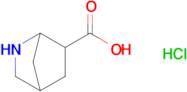 2-azabicyclo[2.2.1]heptane-6-carboxylic acid hydrochloride