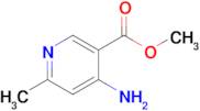 Methyl 4-amino-6-methylnicotinate