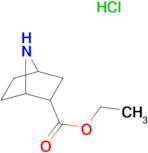 7-azabicyclo[2.2.1]heptane-2-carboxylic acid ethyl ester hydrochloride