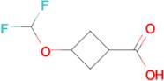 3-(difluoromethoxy)cyclobutane-1-carboxylic acid