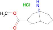 methyl exo-9-azabicyclo[3.3.1]nonane-3-carboxylate hydrochloride