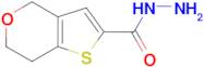 6,7-dihydro-4H-thieno[3,2-c]pyran-2-carbohydrazide