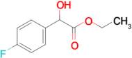 ethyl (4-fluorophenyl)(hydroxy)acetate