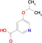 5-(propan-2-yloxy)pyridine-3-carboxylic acid