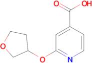 2-(oxolan-3-yloxy)pyridine-4-carboxylic acid