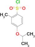 2-methyl-4-(propan-2-yloxy)benzene-1-sulfonyl chloride