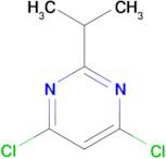 4,6-dichloro-2-(propan-2-yl)pyrimidine