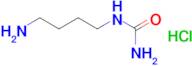 (4-aminobutyl)urea hydrochloride