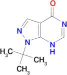 1-tert-butyl-1H,4H,5H-pyrazolo[3,4-d]pyrimidin-4-one