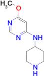 6-methoxy-N-(piperidin-4-yl)pyrimidin-4-amine