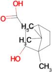 3-Hydroxy-4,7,7-trimethyl-bicyclo[2.2.1]heptane-2-carboxylic acid