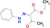 ethyl (E)-3-oxo-2-(2-phenylhydrazono)butanoate