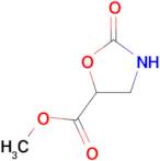 methyl 2-oxo-1,3-oxazolidine-5-carboxylate