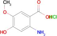 2-amino-4-hydroxy-5-methoxybenzoic acid hydrochloride