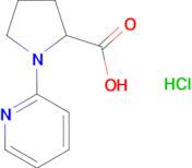 1-(pyridin-2-yl)pyrrolidine-2-carboxylic acid hydrochloride