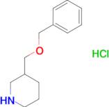 3-[(benzyloxy)methyl]piperidine hydrochloride