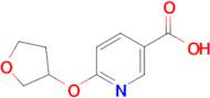 6-((tetrahydrofuran-3-yl)oxy)nicotinic acid