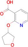 2-((tetrahydrofuran-3-yl)oxy)nicotinic acid