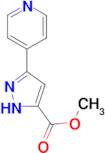 methyl 3-(pyridin-4-yl)-1H-pyrazole-5-carboxylate