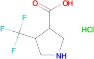 4-(trifluoromethyl)pyrrolidine-3-carboxylic acid hydrochloride