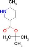 tert-butyl 6-methylpiperidine-3-carboxylate