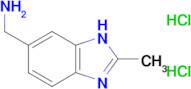 1-(2-methyl-1H-1,3-benzodiazol-6-yl)methanamine dihydrochloride