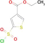 ethyl 5-(chlorosulfonyl)thiophene-3-carboxylate