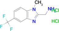 1-[1-methyl-5-(trifluoromethyl)-1H-1,3-benzodiazol-2-yl]methanamine dihydrochloride