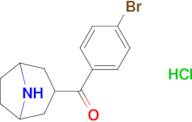 3-(4-bromobenzoyl)-8-azabicyclo[3.2.1]octane hydrochloride