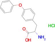 4-(phenoxy)-L-phenylalanine hydrochloride