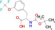 Boc-3-(trifluoromethoxy)-L-phenylalanine