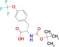 Boc-4-(trifluoromethoxy)-L-phenylalanine