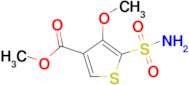 4-Methoxy-5-sulfamoyl-thiophene-3-carboxylic acid methyl ester