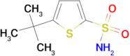 5-tert-Butyl-thiophene-2-sulfonic acid amide