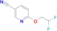 6-(2,2-Difluoro-ethoxy)-nicotinonitrile