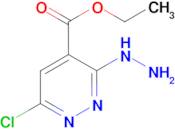 6-Chloro-3-hydrazino-pyridazine-4-carboxylic acid ethyl ester