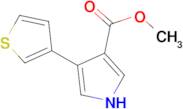 4-Thiophen-3-yl-1H-pyrrole-3-carboxylic acid methyl ester