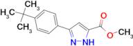 5-(4-tert-Butyl-phenyl)-1H-pyrazole-3-carboxylic acid methyl ester