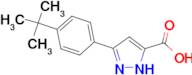 5-(4-tert-Butyl-phenyl)-1H-pyrazole-3-carboxylic acid